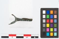 Foto von Bronzekahnfibel (NHMW-PRAE-024022)